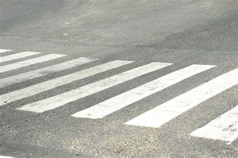 Zebra cross stock photo. Image of pavement, empty, sign - 34445276