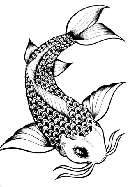 Fish Drawing In Pencil at GetDrawings | Free download