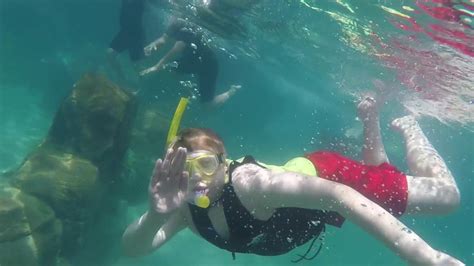 Snorkeling at Discovery Cove on June 23, 2017 R1 - YouTube