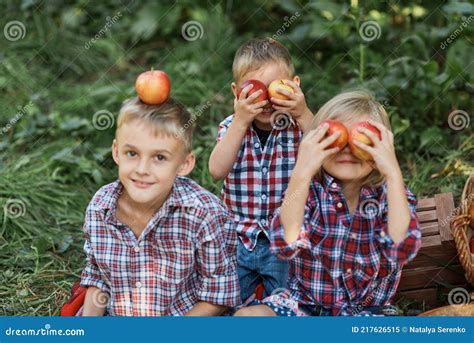 Apple Picking. Happy Children Harvesting Apples in Orchard Stock Image - Image of apple ...