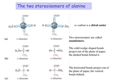 PPT - AMINO ACIDS PowerPoint Presentation, free download - ID:1205136