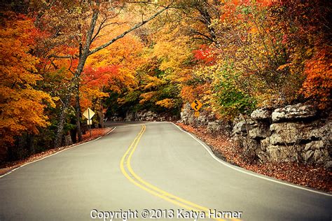 The Road to Monte Sano, Huntsville, Alabama. Autumn. | Slight Clutter ...