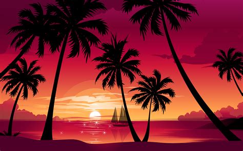 🔥 [46+] Palm Tree Sunset Wallpapers | WallpaperSafari