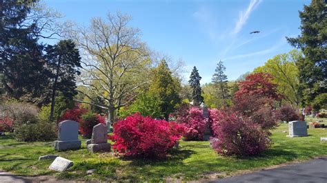 Burial Search – Moravian Cemetery