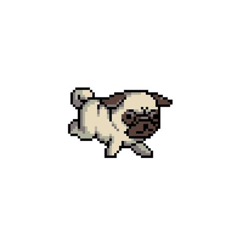 pug gif on Tumblr