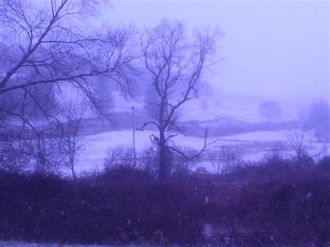 12/21/12 Snow storm:) | Appalachian mountains, Mountain living, Snow storm