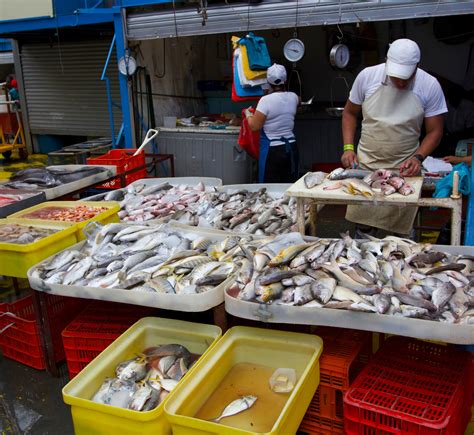 fresh seafood market near me