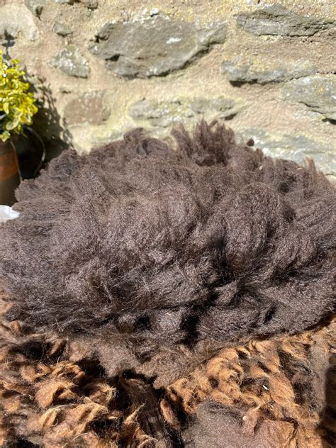 Dark Brown/Black Alpaca Fleece/Wool | Etsy