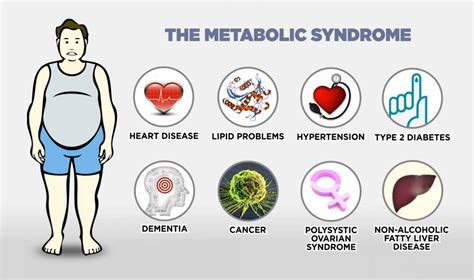 E-Knowledge Point: What are examples of metabolic processes? Metabolic pathways and Activities?