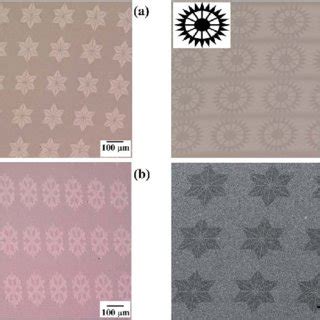 Top (a)–(e) and sideview (f) SEM images after sputter co-deposition at... | Download Scientific ...