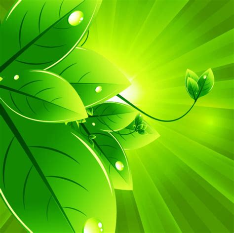 Set of Eco friendly with green Leaves background vector 04 free download