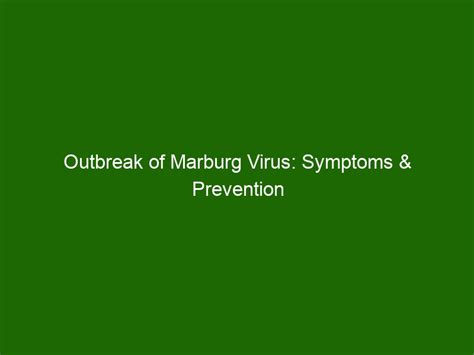 Outbreak of Marburg Virus: Symptoms & Prevention Tips - Health And Beauty