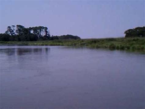 Altamaha-Ha - YouTube