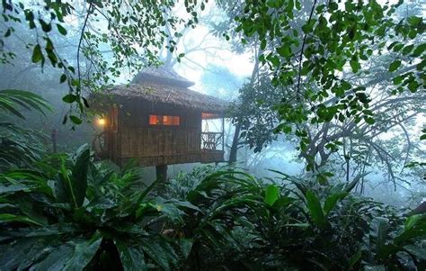 10 Serene Resorts In Thekkady