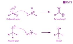 Cannizzaro Reaction - Mechanism, Examples with Illustrations