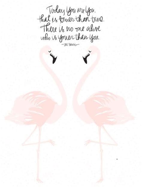 Flamingos Quote | Flamingos quote, Flamingo, Love one another quotes