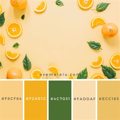 Orange Palette, Orange Color Palettes, Pantone Colour Palettes, Color Palette Yellow, Spring ...