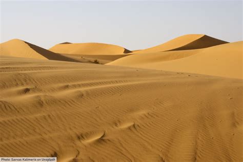 The Desert Biome: Facts, Characteristics, Types Of Desert, Life In Deserts