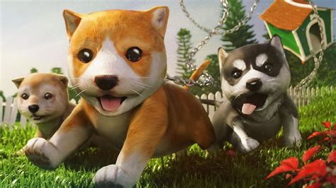 Dog Simulator 3D my virtual pet puppy ios/android kids games - YouTube