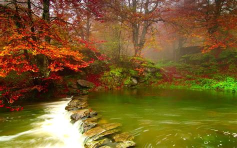 River in Autumn Forest Image - ID: 289963 - Image Abyss