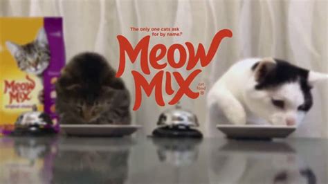 Meow Mix TV Commercial, 'Standing Cat' - iSpot.tv