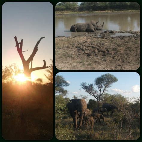 Cape Town Safari - The Voyaging Vagabonds