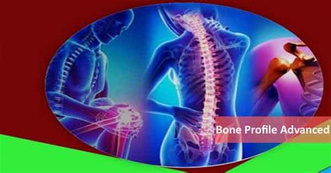 Book Bone Profile Basic and Advanced from Thyrocare starting at Rs 1500