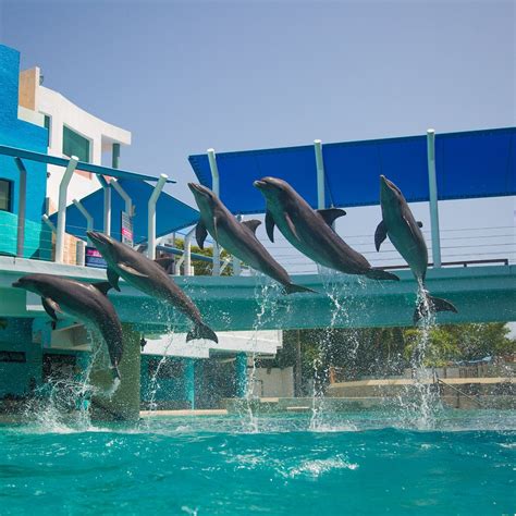 INTERACTIVE AQUARIUM (2024) All You Need to Know BEFORE You Go (with Photos) - Tripadvisor