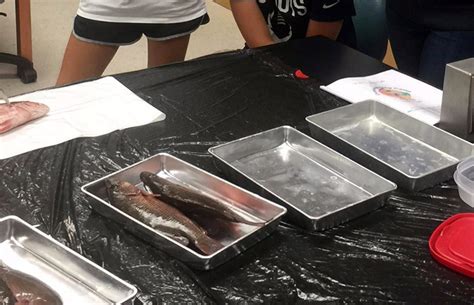 Lab Days: Fish Ecology | USF College of Marine Science