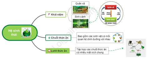 Thế nào là một hệ sinh thái ? - loigiaihay.com - EU-Vietnam Business Network (EVBN)