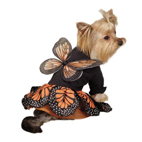 Dog MONARCH BUTTERFLY Halloween Costume Pet Puppy Clothes Clothing XS S ...