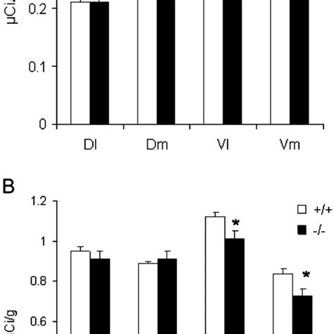 Genetic inactivation of A 2A receptors does not modify enkephalin or... | Download Scientific ...