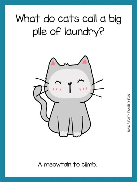 75 Best Cat Jokes That Meow With Laughs