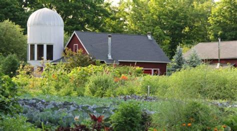 10 Incredibly Fun Farms In Connecticut