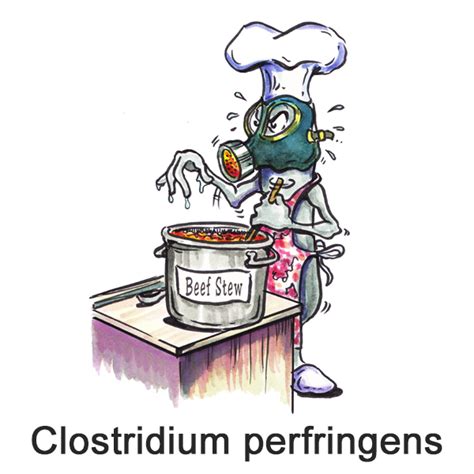 nanobugs® | Clostridium perfringens