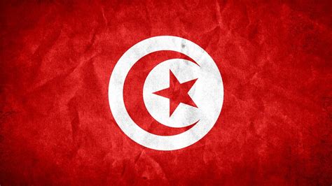 Free photo: Tunisia Grunge Flag - Africa, Resource, Moon - Free ...