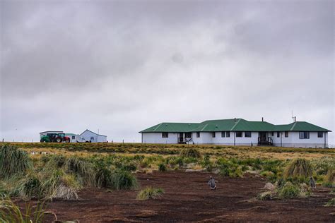 The Best of the Falkland Islands - A Guide to the Outer Islands ...