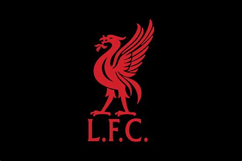 Liverpool Logo Bird, liver bird HD wallpaper | Pxfuel