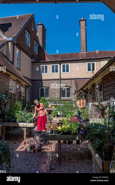 Flower stalls at Standen House and Gardens Stock Photo - Alamy