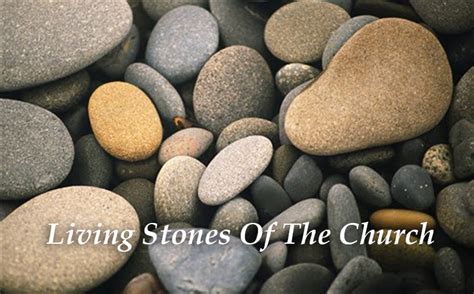 The Living Stones — Positive Men