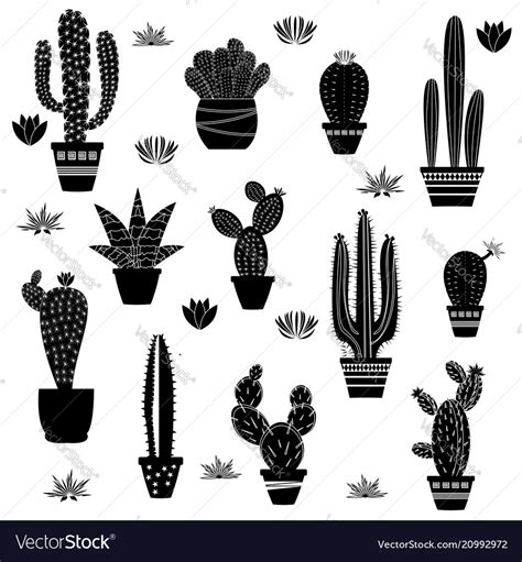 Cactus silhouettes on white background Royalty Free Vector