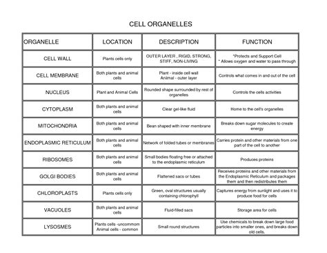 Cell Organelles, locations, description, and functions. | Science cells, Biology classroom ...