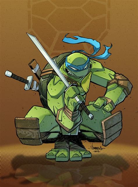 The Teenage Mutant Ninja Turtles, or TMNT for short, were four brothers ...