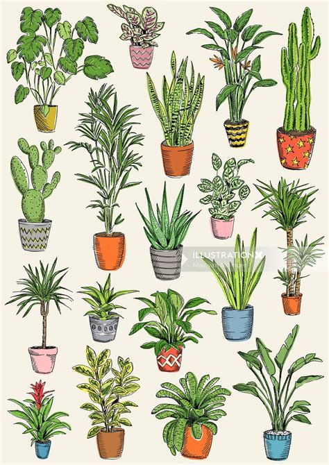 May van Millingen in 2020 | Plant sketches, Plant drawing, Botanical ...