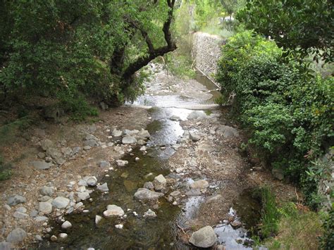 Creek in Alum Rock Park, California | Pics4Learning