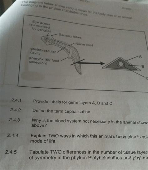 Solved: ATION )C/2024 belonging to the phylum Platyhelminthes The diagram below shows various v ...