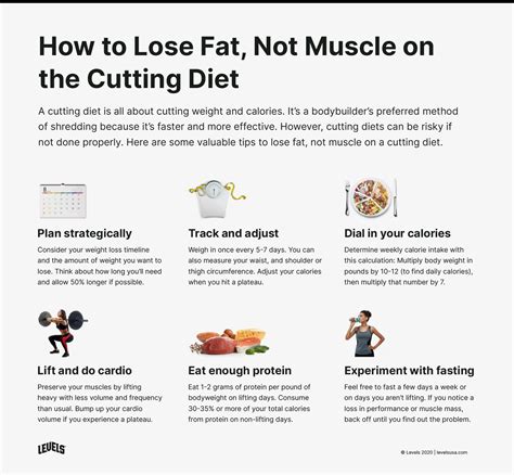 Cutting Diet: The Fastest Way in the World to Lose Fat - Levels