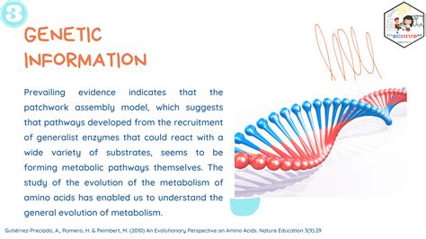 [BIOLOGY] Evidence for Evolution - Genetic Information — Filipino ...