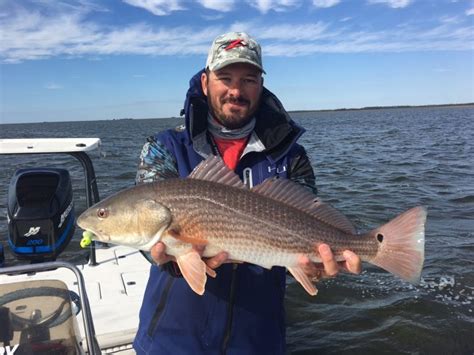 Horseshoe Beach Fishing Report: 03/2017 | Coastal Angler & The Angler ...