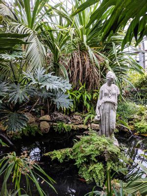 CENTENNIAL PARK CONSERVATORY - 211 Photos & 21 Reviews - 151 Elmcrest ...